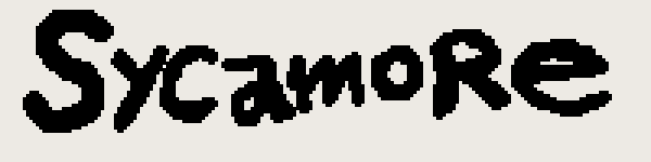 'SYCAMORE'